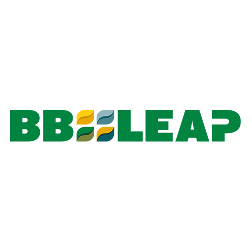 bb-leap